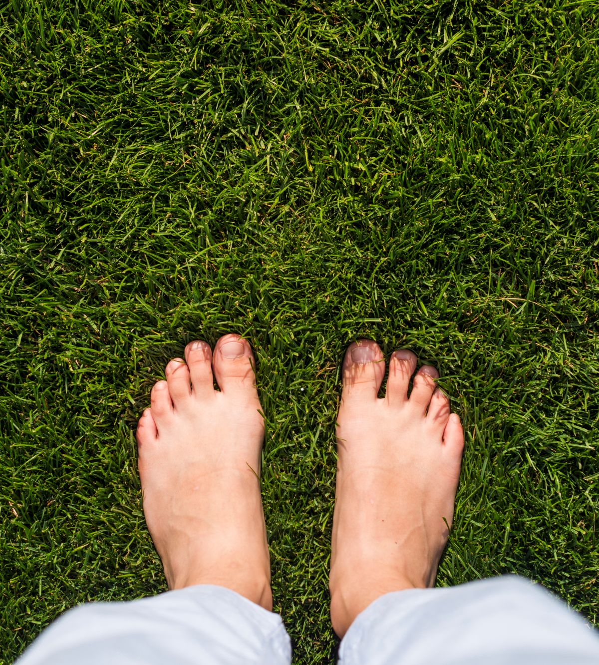 Mindfulness - Imagen 2